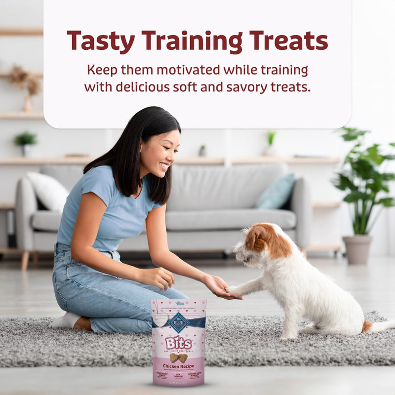 Blue Buffalo Valentine Bites All Ages Training Dog Treats with Chicken Flavor - 4.5oz