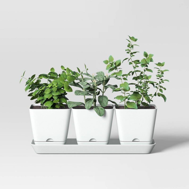 4pc Square Indoor Outdoor 3 Planter Pots with 1 Saucer White 12.2"x4" - Room Essentials