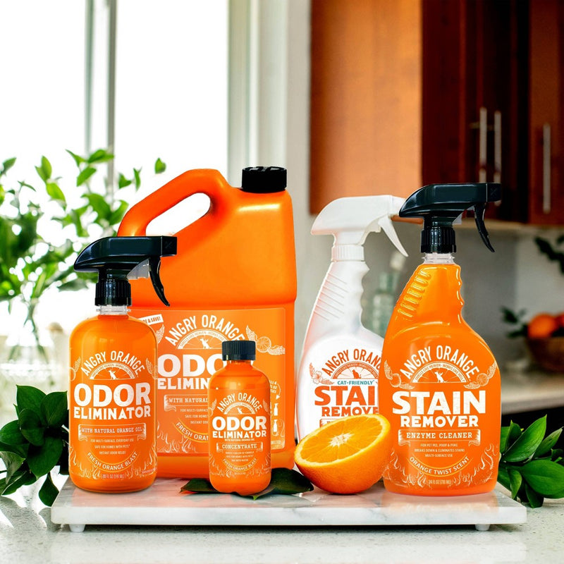 Angry Orange Enzyme Spray Stain Remover - 24oz