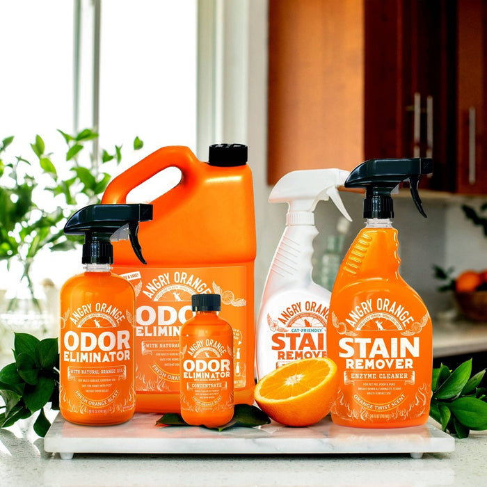 Angry Orange Enzyme Spray Stain Remover - 24oz