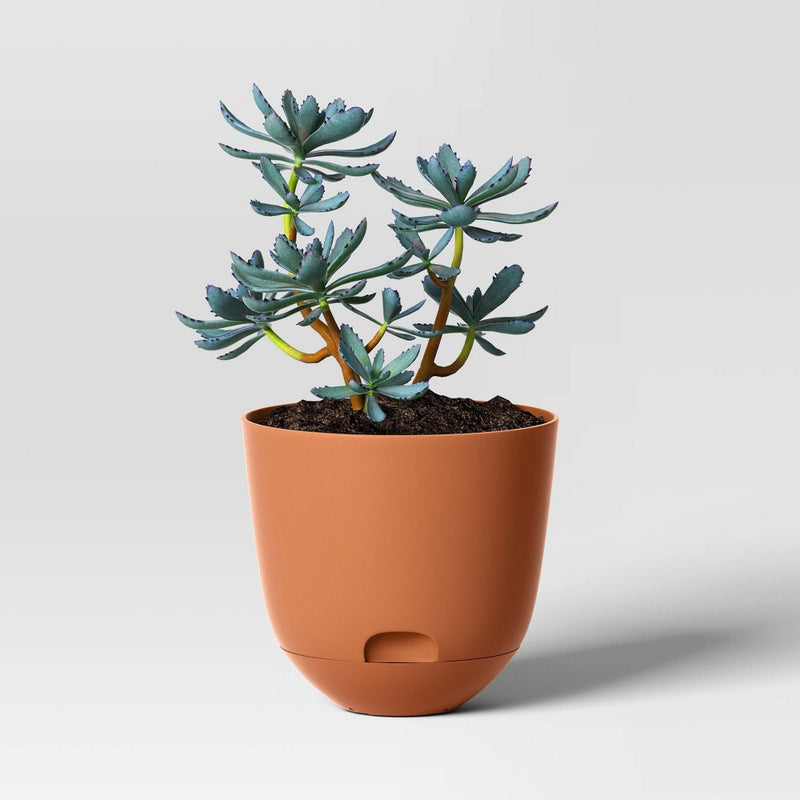 Self-Watering Plastic Indoor Outdoor Planter Pot Cosmic Rust 8"x8" - Room Essentials