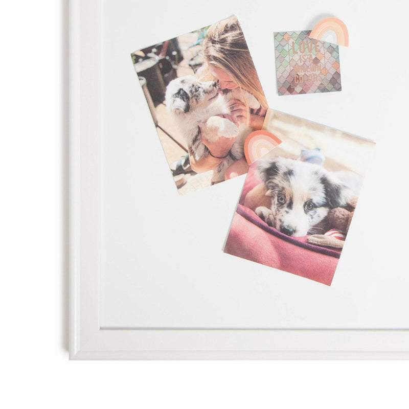 U Brands 4ct Rainbow Magnets - Warm Neutrals