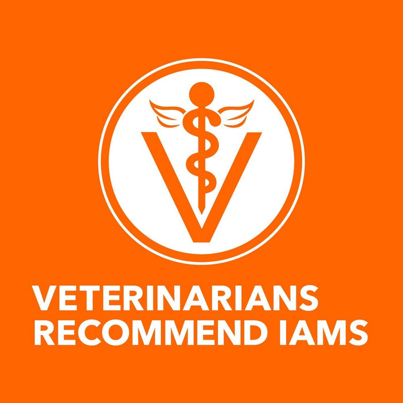 IAMS Proactive Health with Chicken Adult Premium Dry Cat Food - 22lbs (LOCAL PICKUP ONLY)