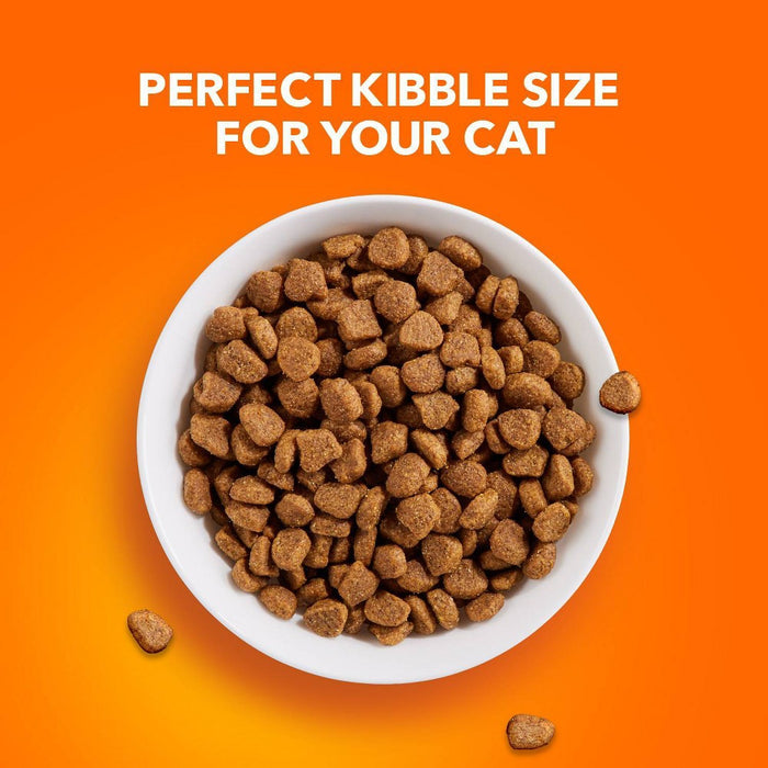 IAMS Proactive Health with Chicken Adult Premium Dry Cat Food - 22lbs (LOCAL PICKUP ONLY)