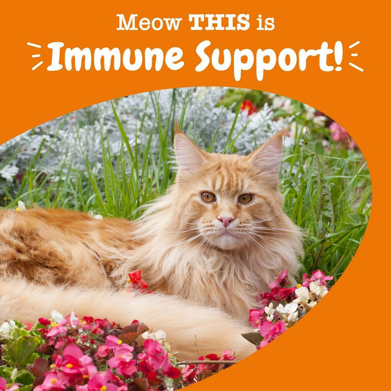 Zesty Paws Aller-Immune Cat Bites - Bacon - 35ct