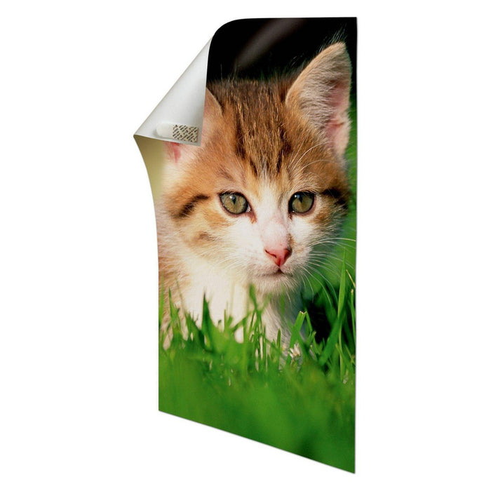 Command Damage-Free Poster Strips Small 60pk