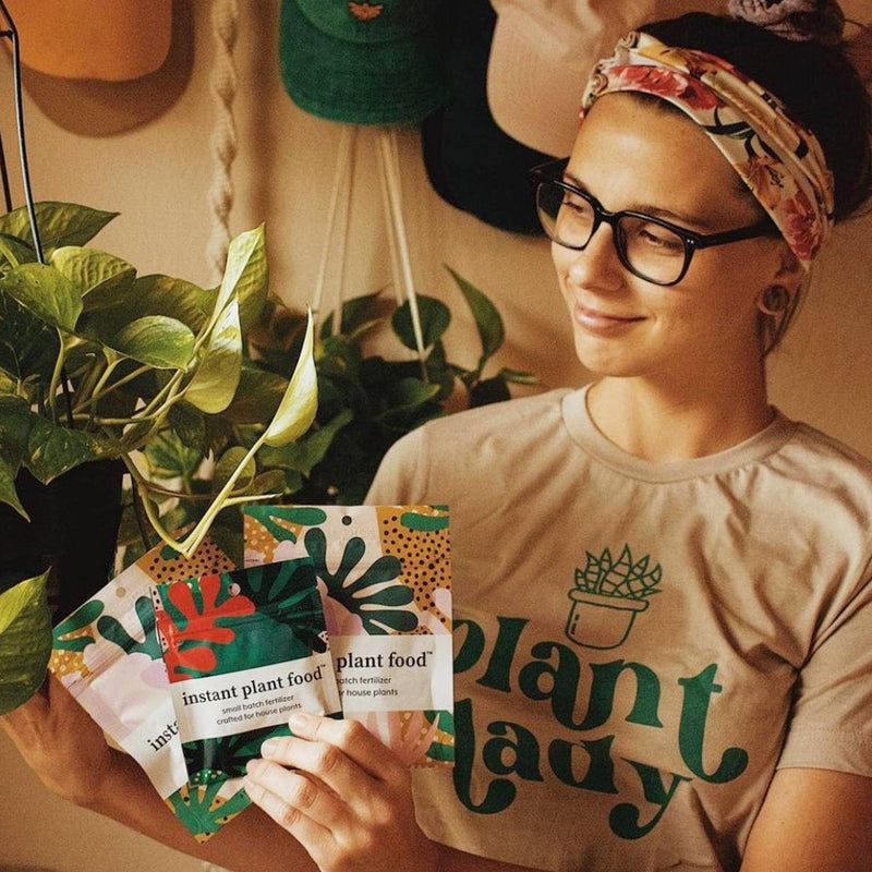 Instant Plant Food 4pk Houseplant Fertilizer Tablets for Indoor Plants