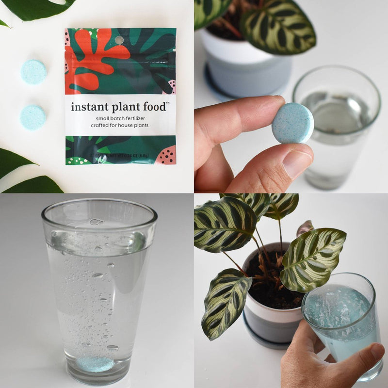 Instant Plant Food 2pk Houseplant Fertilizer Tablets for Indoor Plants