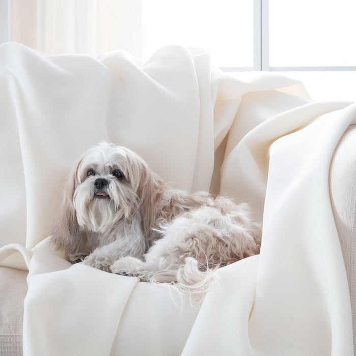 Twin Original Bed Blanket Ivory - Vellux