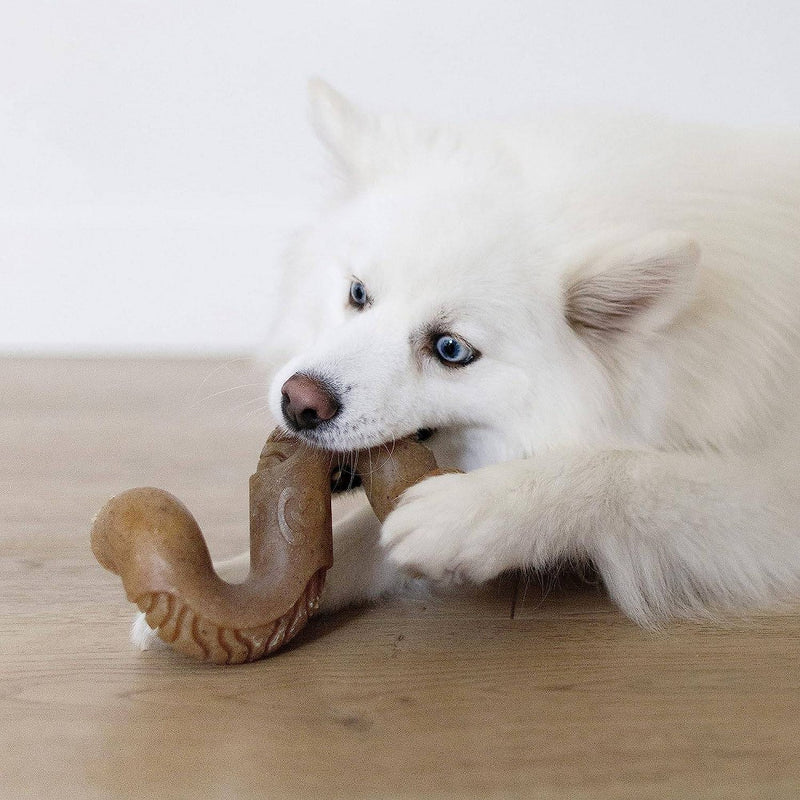 Benebone Tripe Bone Dog Chew Toy - M