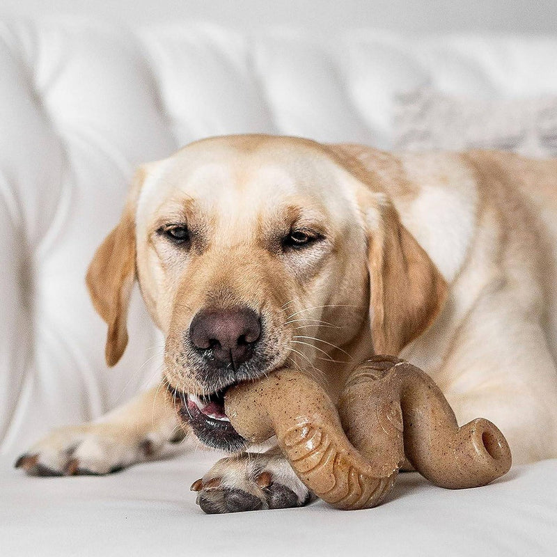 Benebone Tripe Bone Dog Chew Toy - M