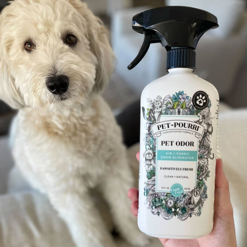 Poo-Pourri Pet Odor Eliminator Pawsitivly Fresh Scented Air Freshener - 16 fl oz (LOCAL PICKUP ONLY)