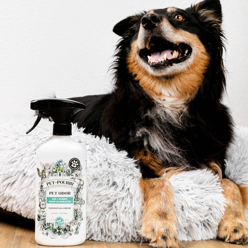 Poo-Pourri Pet Odor Eliminator Pawsitivly Fresh Scented Air Freshener - 16 fl oz (LOCAL PICKUP ONLY)