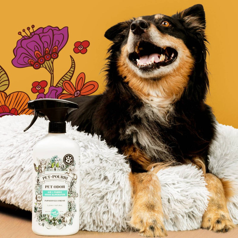 Poo-Pourri Pet Odor Eliminator Pawsitivly Fresh Scented Air Freshener - 16 fl oz (LOCAL PICKUP ONLY)