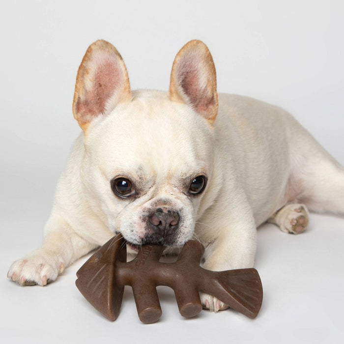 Benebone Fishbone Dog Chew Toy - Fish - M