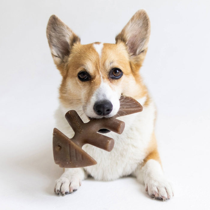 Benebone Fishbone Dog Chew Toy - Fish - M