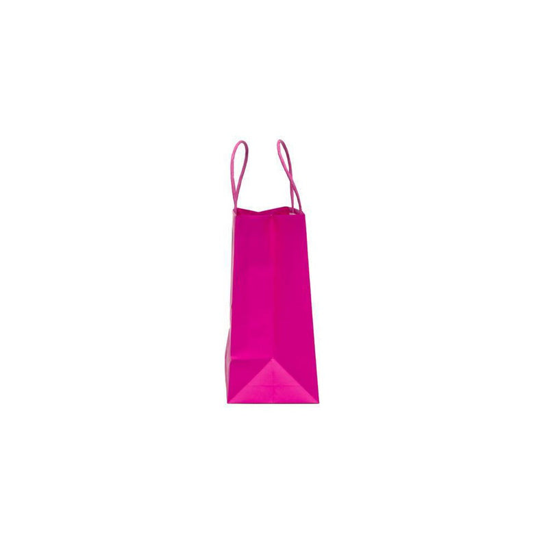 4pk Cub Bag Hot Pink - Spritz