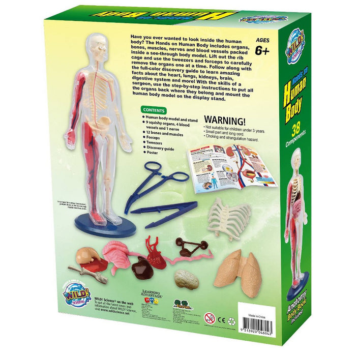 Wild! Science Hands-On Human Body Science Kit
