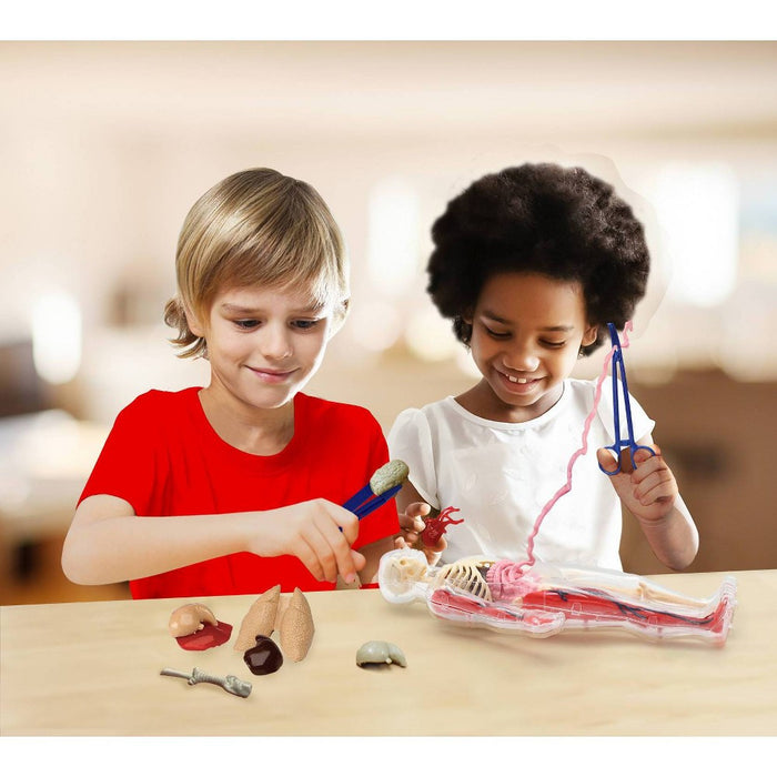 Wild! Science Hands-On Human Body Science Kit