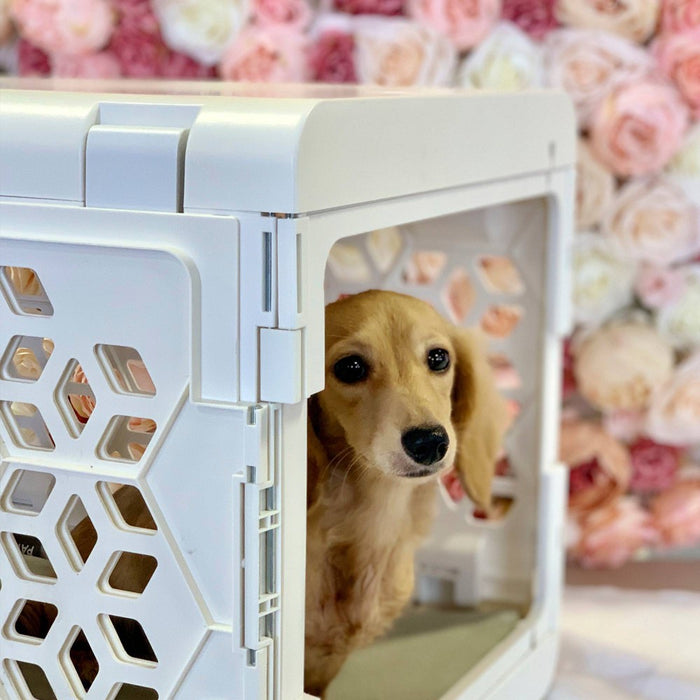 KindTail PAWD Cat and Dog Crate - S - White