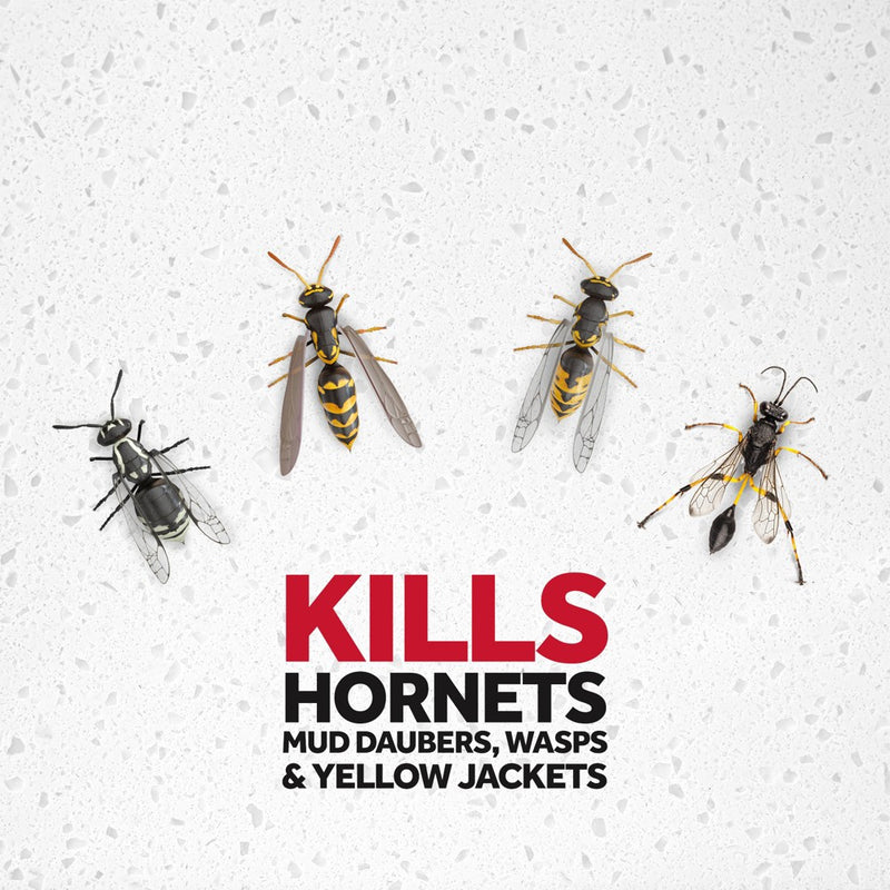Raid 14oz 2ct Wasp & Hornet KillerTwin Pack