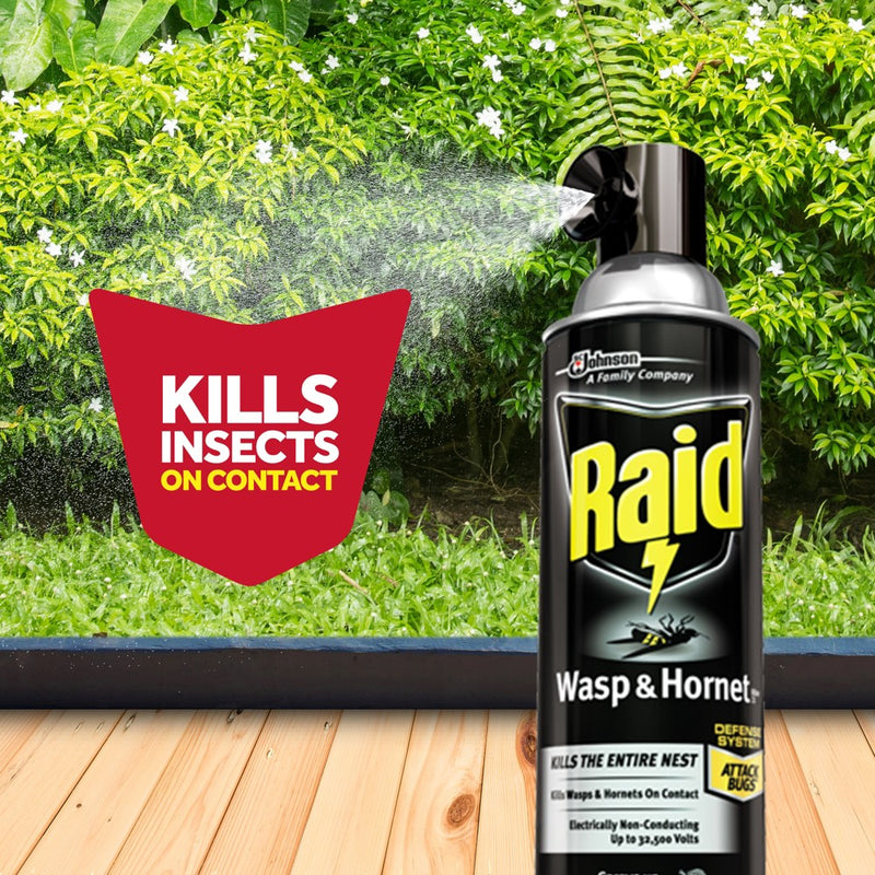 Raid 14oz 2ct Wasp & Hornet KillerTwin Pack