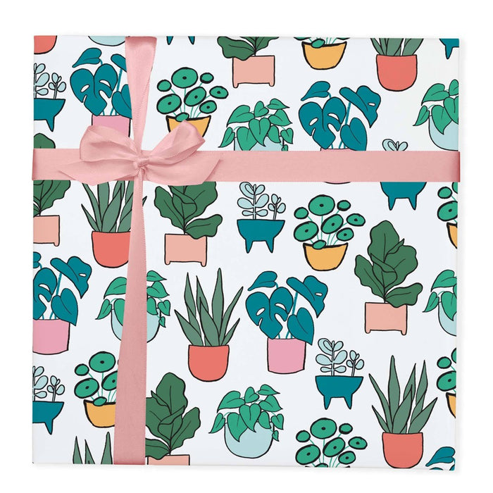 Adult Birthday Gift Wrap - Spritz