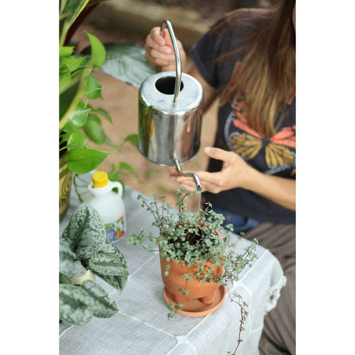 Good Dirt Naturals Indoor/Outdoor Plant Food - 15 fl oz