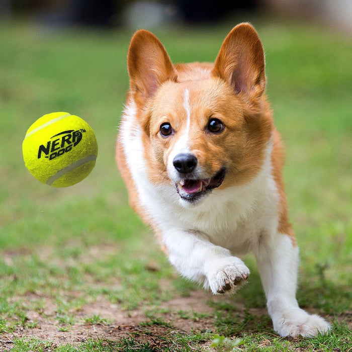 NERF 12" Blaster with 2.5" Non-Squeak Tennis Ball Dog Toy - 2pk
