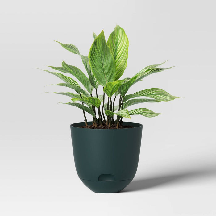 Self-Watering Plastic Indoor Outdoor Planter Pot Fern Shower 8"x8" - Room Essentials