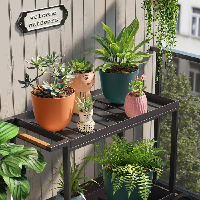 Self-Watering Plastic Indoor Outdoor Planter Pot Fern Shower 8"x8" - Room Essentials