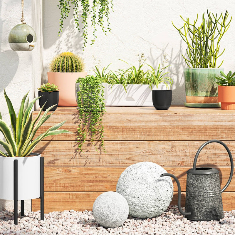 2pc Self-Watering Plastic Indoor Outdoor Planter Pots Black 4"x4" - Room Essentials