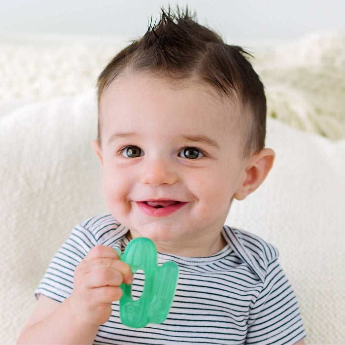 Itzy Ritzy Cutie Coolers Teether Set - Cactus - 2pk