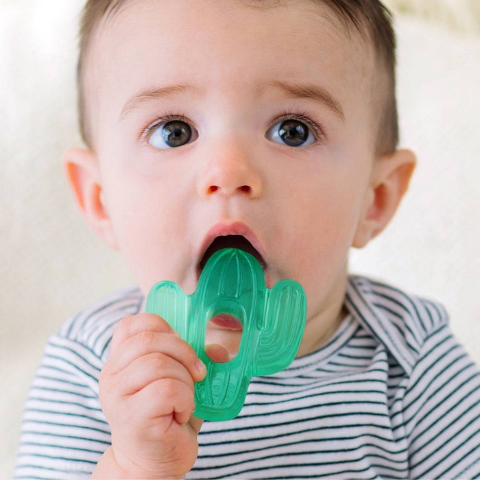 Itzy Ritzy Cutie Coolers Teether Set - Cactus - 2pk