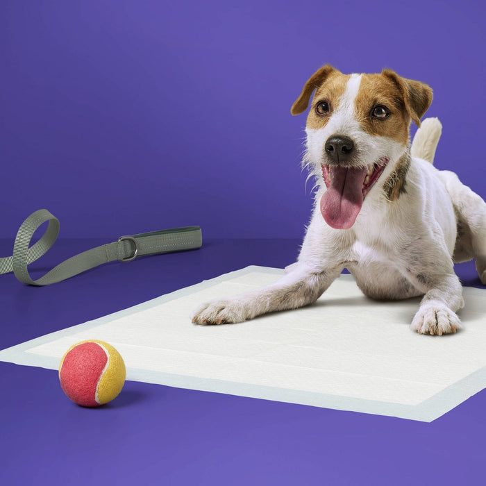 Puppy and Adult Dog Extra Absorbency Heavy Duty Training Pads - L - 25ct - up & up