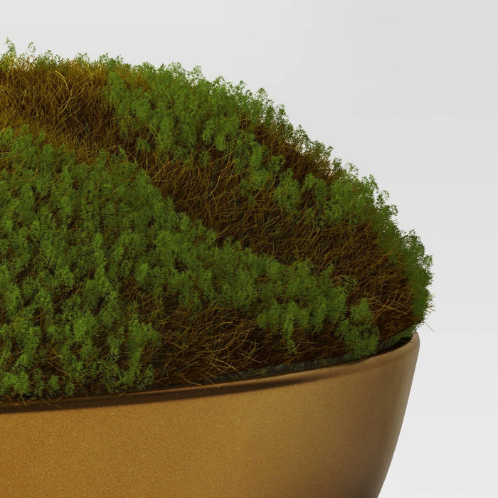 Moss in Gold Bowl - Threshold