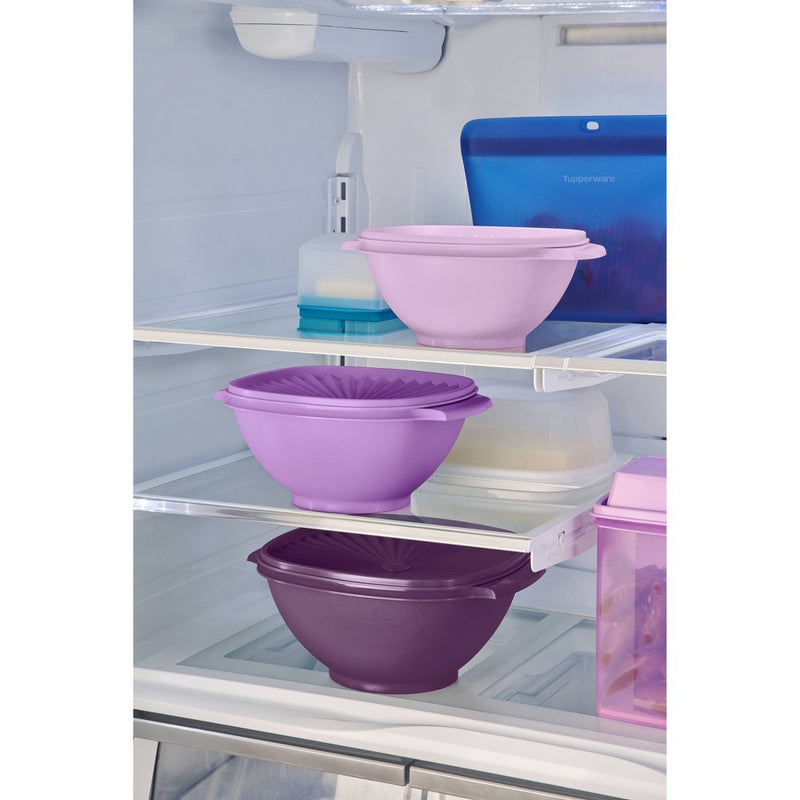 Tupperware Heritage 3pc Plastic Food Storage Container Set Purple