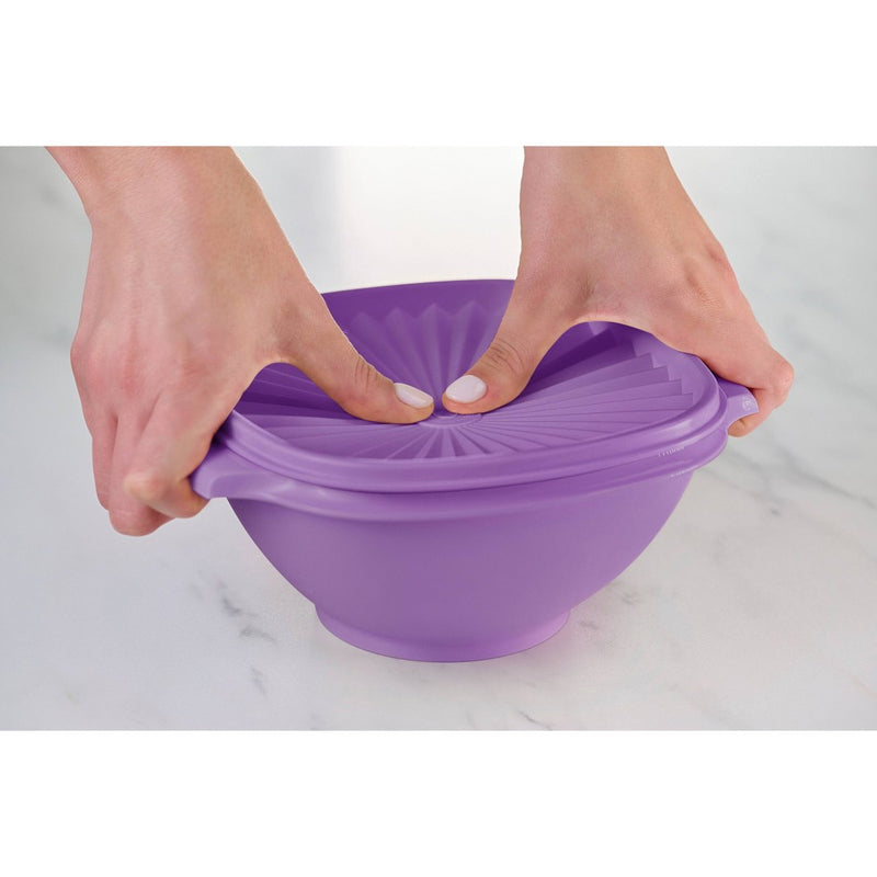 Tupperware Heritage 3pc Plastic Food Storage Container Set Purple