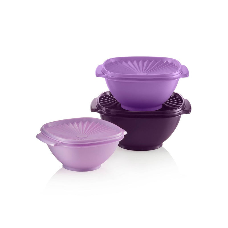 Tupperware Heritage 3pc Plastic Food Storage Container Set Purple