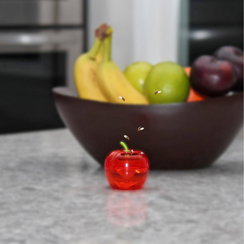Raid Fruit Fly Trap Apple - 2pk