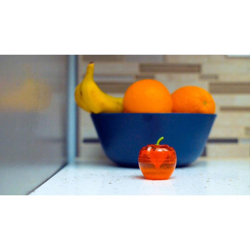 Raid Fruit Fly Trap Apple - 2pk