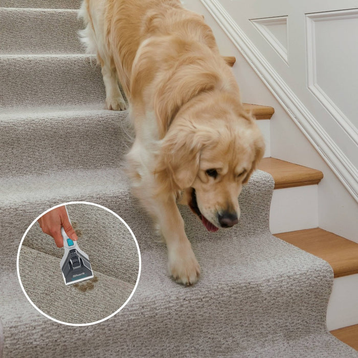Shark StainStriker Complete Bundle for Shark StainStriker Portable Carpet Cleaners - PXCMBUNDLE