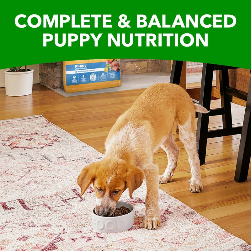 IAMS Proactive Health Chicken Large Breed Puppy Premium Dry Dog Food - 15lbs (LOCAL PICKUP ONLY)