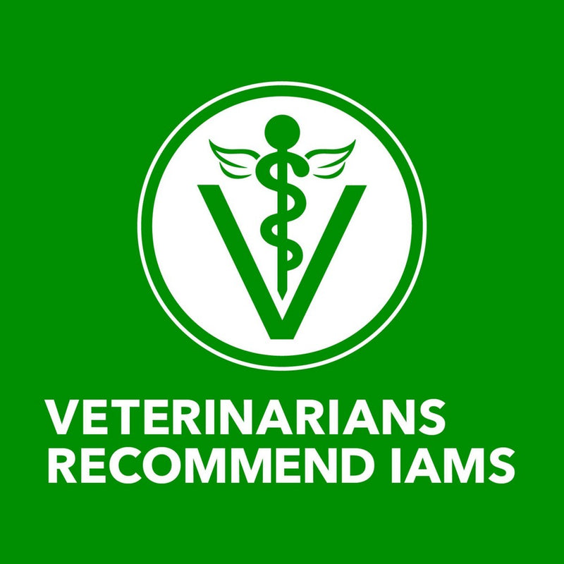 IAMS Proactive Health Chicken Large Breed Puppy Premium Dry Dog Food - 15lbs (LOCAL PICKUP ONLY)