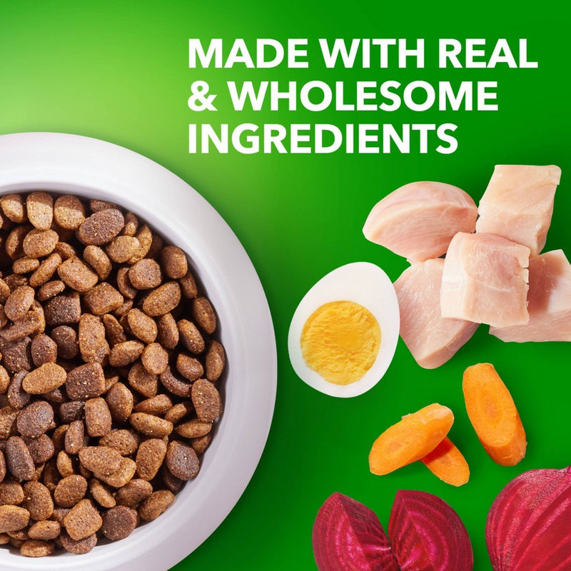 IAMS Proactive Health Chicken Large Breed Puppy Premium Dry Dog Food - 15lbs (LOCAL PICKUP ONLY)