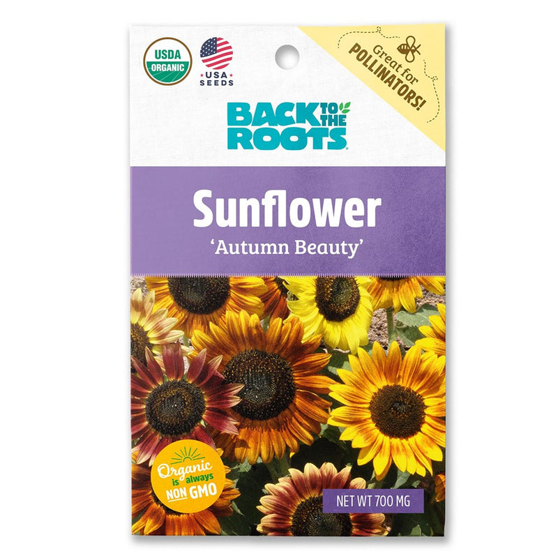 Back to the Roots Sunflower Autumn Beauty