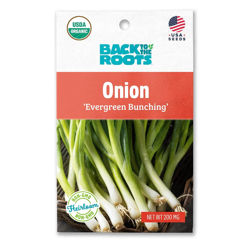 Back to the Roots Onion Evergreen Brunching Vegetable Seeds