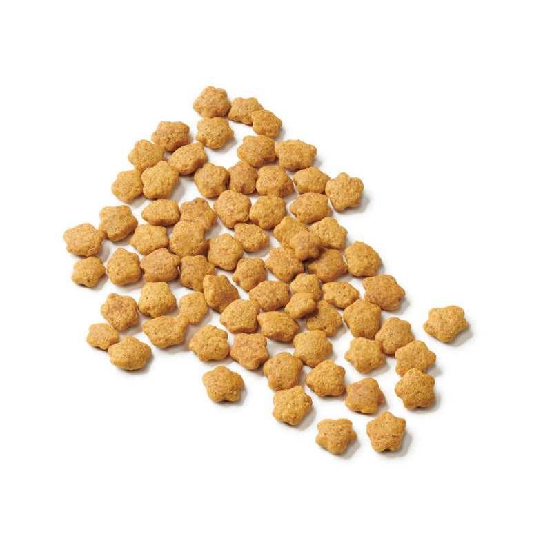 Purina Cat Chow Sensitive Skin and Stomach Turkey Flavor Dry Cat Food - 6.3 lbs