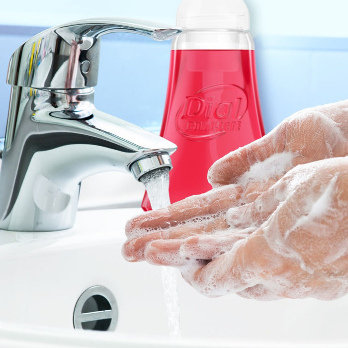 Dial Complete Antibacterial Foaming Hand Wash - Power Berries - 10 fl oz