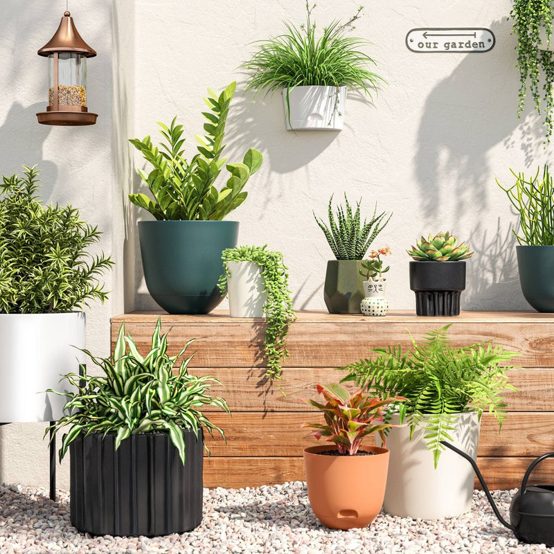 Self-Watering Plastic Indoor Outdoor Planter Pot Fern Shower 12"x12" - Room Essentials